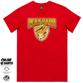 Play Hard T Shirt